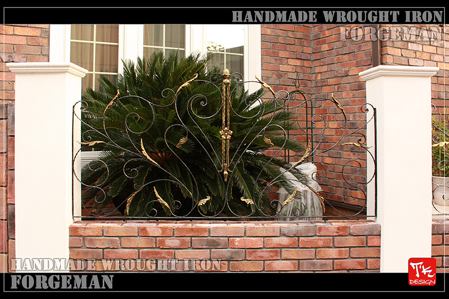 Wrought Iron Exterior Fence