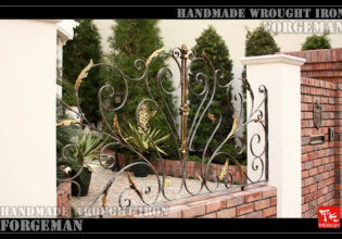 Wrought Iron Exterior Fence
