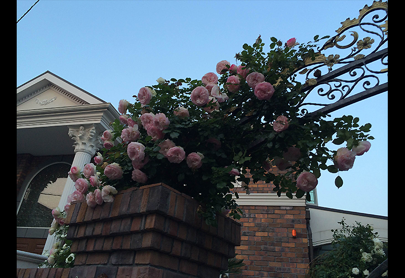 Wrought Iron Gate Arch