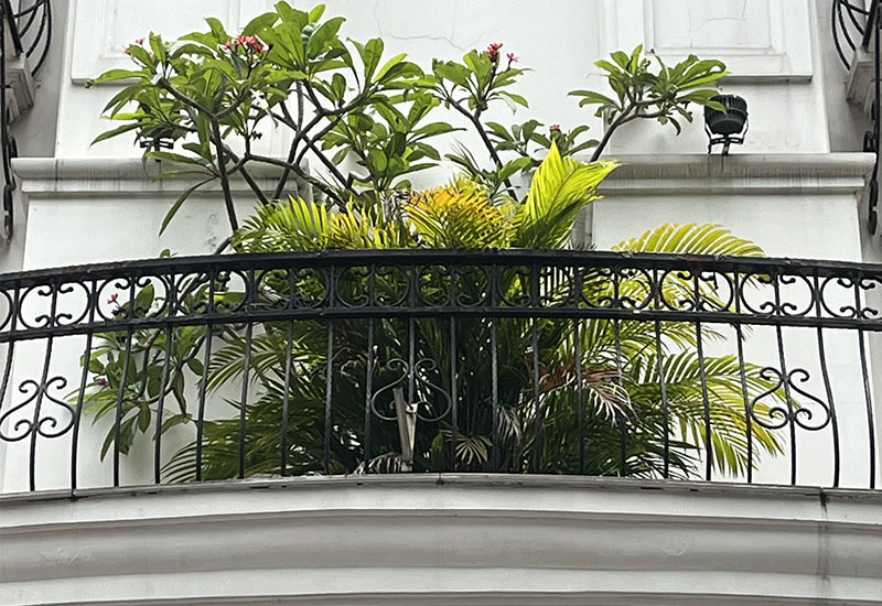 Balcony Fence